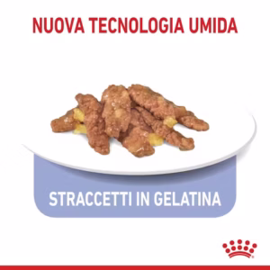 ROYAL CANIN® Indoor Sterilised Straccetti in Gelatina - immagine 7