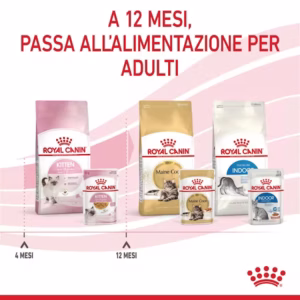 ROYAL CANIN® Kitten Bocconcini in Gelatina - immagine 6