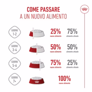 ROYAL CANIN Mini Starter Crocchette per Cagne in Gestazione/Lattazione e Cuccioli in Svezzamento - immagine 8