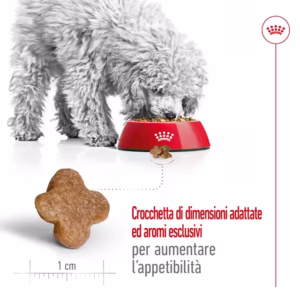 ROYAL CANIN Mini Adult 8+ Alimento secco per cani maturi di taglia piccola (oltre 8 anni – fino a 10 kg) - immagine 8