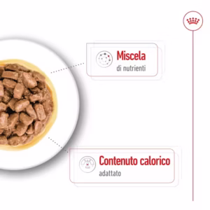 ROYAL CANIN Mini Ageing – Bocconcini in salsa - immagine 6