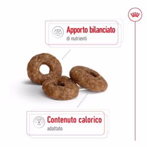 ROYAL CANIN Mini Ageing 12+ Alimento secco per cani anziani di taglia piccola (oltre 12 anni – fino a 10 kg) - immagine 6
