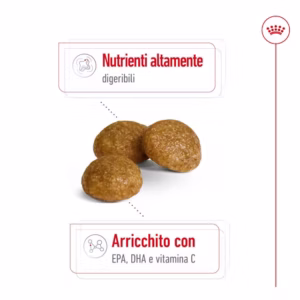 ROYAL CANIN X-Small Adult Alimento secco per cani di taglia piccolissima (oltre 10 mesi) - immagine 6