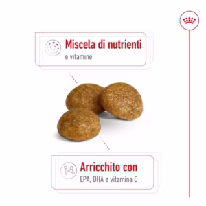 ROYAL CANIN X-Small Adult 8+ Alimento secco per cani maturi di taglia piccolissima (oltre 8 anni) - immagine 5