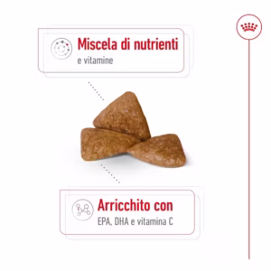 ROYAL CANIN X-Small Ageing 12+ Alimento secco per cani anziani di taglia piccolissima (oltre 12 anni) - immagine 7