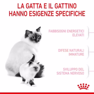 ROYAL CANIN® Mother & Babycat – Alimento secco per gatti - immagine 6
