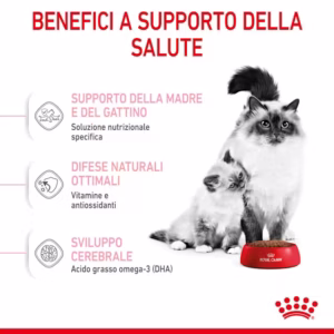 ROYAL CANIN® Mother & Babycat – Alimento secco per gatti - immagine 5