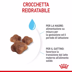 ROYAL CANIN® Mother & Babycat – Alimento secco per gatti - immagine 8