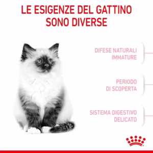 ROYAL CANIN® Kitten – Alimento secco per gattini - immagine 5