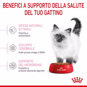 ROYAL CANIN® Kitten – Alimento secco per gattini - immagine 6