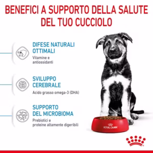 ROYAL CANIN Puppy Maxi Alimento secco per cuccioli di taglia grande (fino a 15 mesi) - immagine 4