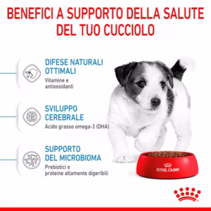 ROYAL CANIN Puppy Mini Crocchette per Cuccioli di Taglia Piccola - immagine 4