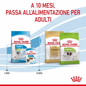 ROYAL CANIN Puppy X-Small Crocchette per Cuccioli di Taglia Piccolissima - immagine 7