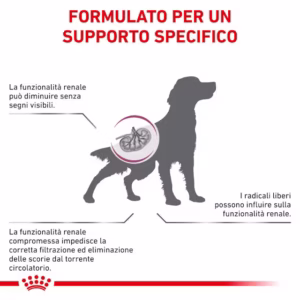 ROYAL CANIN® Early Renal – Alimento Dietetico Completo per Cani Adulti - immagine 5