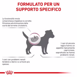 ROYAL CANIN® Renal Small Dog – Alimento Dietetico Completo per Cani Adulti di Piccola Taglia - immagine 5