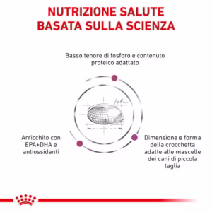 ROYAL CANIN® Renal Small Dog – Alimento Dietetico Completo per Cani Adulti di Piccola Taglia - immagine 4