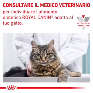 Royal Canin Sensitivity Control – Alimento Umido per Gatti Adulti - immagine 6