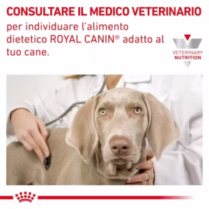ROYAL CANIN® Gastrointestinal Puppy – Alimento Secco per Cuccioli - immagine 3