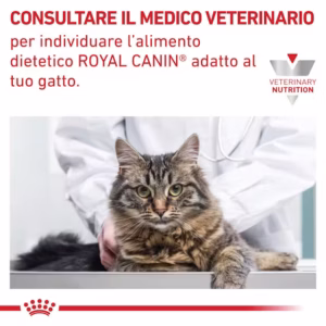 Royal Canin Gastrointestinal – Alimento Umido per Gatti - immagine 5