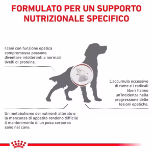 ROYAL CANIN® Hepatic – Alimento Secco Dietetico per Cani Adulti - immagine 8