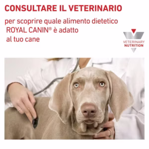 ROYAL CANIN® Skin Care – Alimento Secco per Cani Adulti - immagine 3