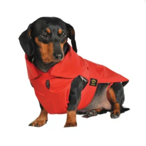 Fashion Dog Coat – Dachshund (Teckel) – 36 cm – Rosso - immagine 3