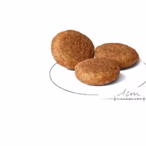 ROYAL CANIN Medium Adult Alimento secco per cani - immagine 3