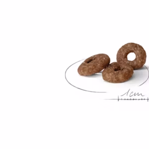 ROYAL CANIN Mini Ageing 12+ Alimento secco per cani anziani di taglia piccola (oltre 12 anni – fino a 10 kg) - immagine 3