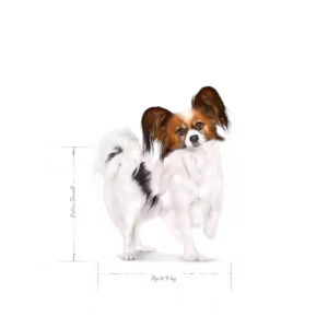 ROYAL CANIN X-Small Adult Alimento secco per cani di taglia piccolissima (oltre 10 mesi) - immagine 4