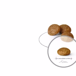 ROYAL CANIN X-Small Adult Alimento secco per cani di taglia piccolissima (oltre 10 mesi) - immagine 3