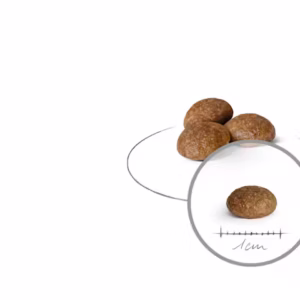 ROYAL CANIN X-Small Adult 8+ Alimento secco per cani maturi di taglia piccolissima (oltre 8 anni) - immagine 3