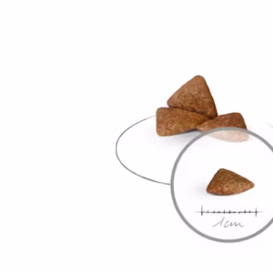 ROYAL CANIN X-Small Ageing 12+ Alimento secco per cani anziani di taglia piccolissima (oltre 12 anni) - immagine 3