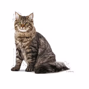 ROYAL CANIN® Urinary Care Alimento secco per gatti adulti - immagine 4