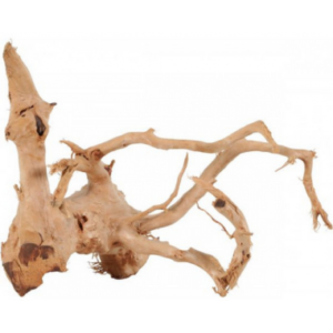 Zolux Legno Racine Araignee Red Wood 40-50cm - immagine 3