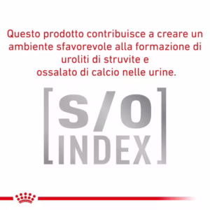 Royal Canin Anallergenic – Alimento Secco per Gatti Adulti - immagine 5