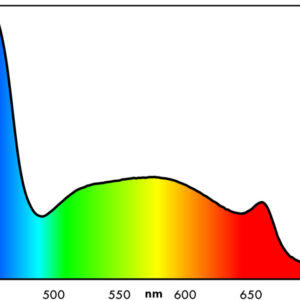 EHEIM classicLED plants – Illuminazione LED per Acquari d’Acqua Dolce - immagine 3