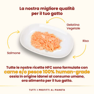 Almo Nature HFC Jelly – Salmone - immagine 3