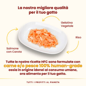 Almo Nature HFC Jelly – Salmone con Carota - immagine 3
