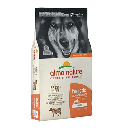 766_8001154125559_01