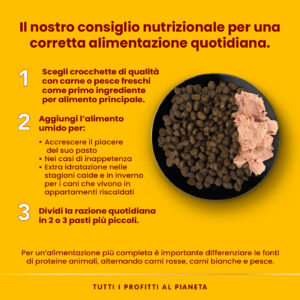 Almo Nature HFC Complete Manzo con Patate e Prezzemolo - immagine 4