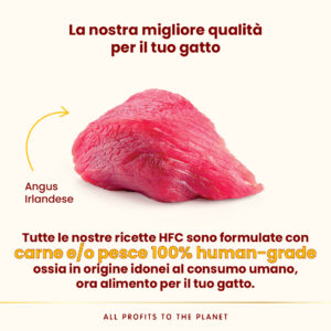 Almo Nature HFC Complete Sterilised – Angus Irlandese - immagine 3