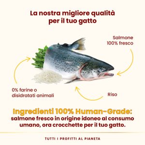 Almo Nature HFC Our Best Highly Appetizing – Salmone Fresco - immagine 4