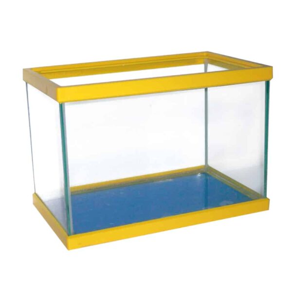 A2000010-8023222008311-AMTRA-AZZURRA-40_YELLOW