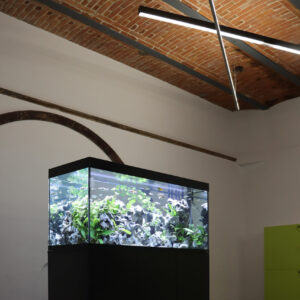 AMTRA Acquario e Mobile ALUX COMBI con Filtro - immagine 7