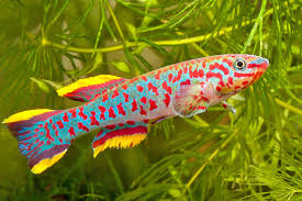 download - 2026-01-28T112434.192