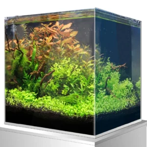 AMTRA Nanoscaping - immagine 3