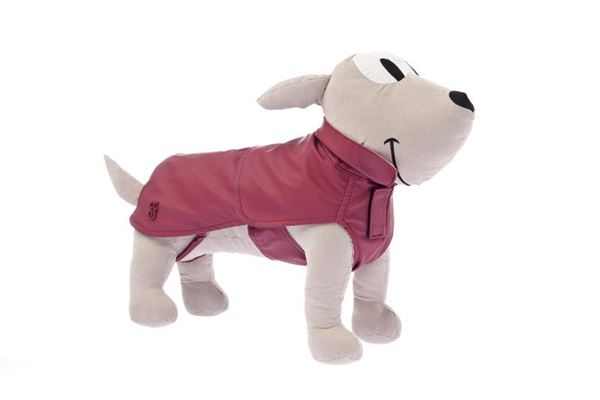 0030331_abf32155-bo-2_600