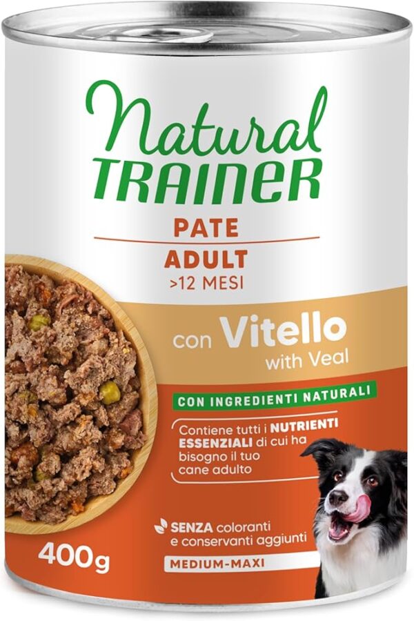 71eP4LwP+2L._AC_UF1000,1000_QL80_