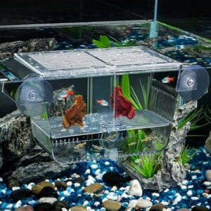 Nido Acquario Galleggiante Viviparo 16,5 x 8 x 8 cm | Protezione Avannotti Guppy - immagine 4