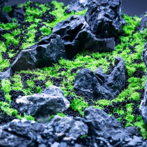 Aquili Utricularia Graminifolia | Pianta Nana per Acquario - immagine 3